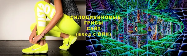 не бодяженный Медвежьегорск