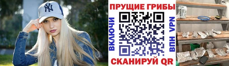 Галлюциногенные грибы GOLDEN TEACHER цены наркотик Долгопрудный
