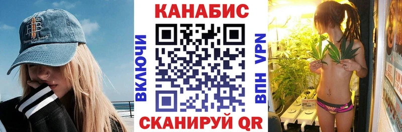 Конопля сатива  гидра как зайти  Долгопрудный  где купить наркоту 